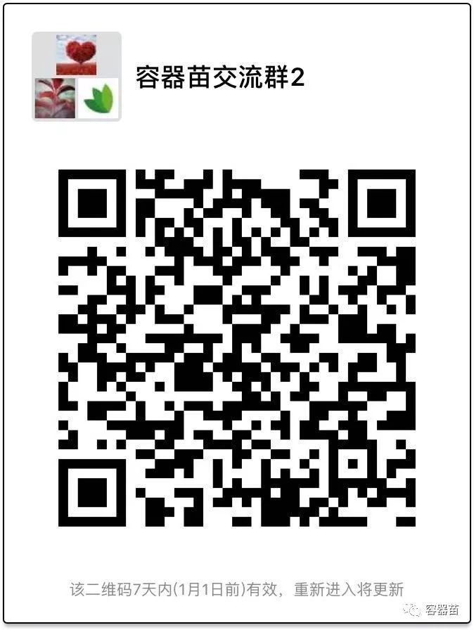 無紡布袋在容器育苗中如此流行,但絕非完美!  第5張 無紡布袋在容器育苗中如此流行,但絕非完美!  第5張