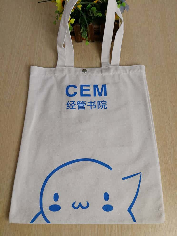 學(xué)校培訓(xùn)機(jī)構(gòu)用帆布袋廠家訂制  第2張