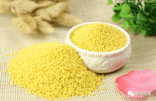 小米袋_一用就會愛上的拍打神器 第8張 小米袋_一用就會愛上的拍打神器 第8張