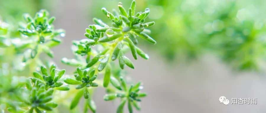 小米袋_一用就會愛上的拍打神器 第19張 小米袋_一用就會愛上的拍打神器 第19張