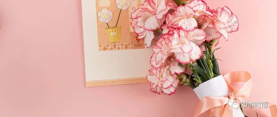 小米袋_一用就會愛上的拍打神器 第34張 小米袋_一用就會愛上的拍打神器 第34張