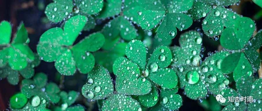 小米袋_一用就會愛上的拍打神器 第28張 小米袋_一用就會愛上的拍打神器 第28張