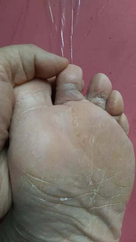 宣賓老師最新分享_大道至簡——小米袋(附宣賓老師書訊) 第6張 宣賓老師最新分享_大道至簡——小米袋(附宣賓老師書訊) 第6張