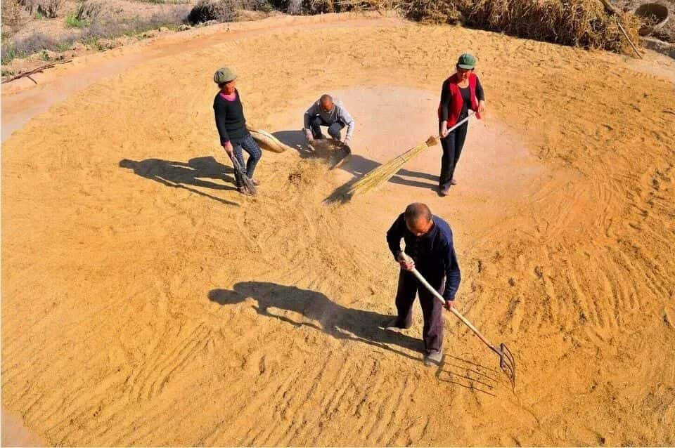 山區(qū)留守老人黃小米銷路難,緊急求援,讓我們一起轉(zhuǎn)發(fā),給他們多一份希望.  第8張