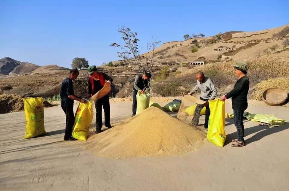 山區(qū)留守老人黃小米銷路難,緊急求援,讓我們一起轉(zhuǎn)發(fā),給他們多一份希望.  第9張