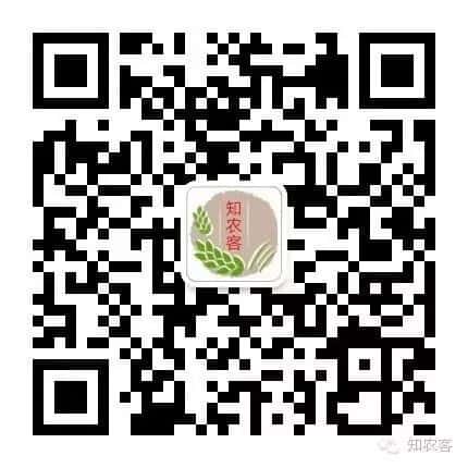 山區(qū)留守老人黃小米銷路難,緊急求援,讓我們一起轉(zhuǎn)發(fā),給他們多一份希望.  第12張