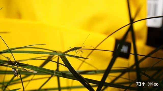 小米上線29元小背包，真的好用嗎？  第26張